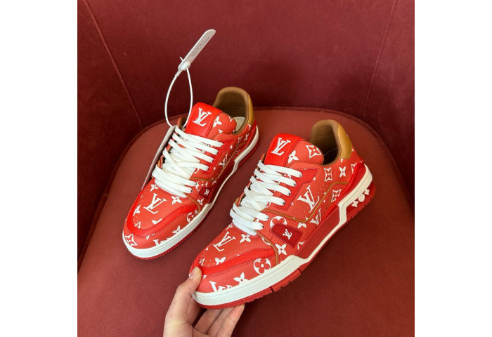 L1VV TRAINER