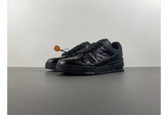 L1VV TRAINER