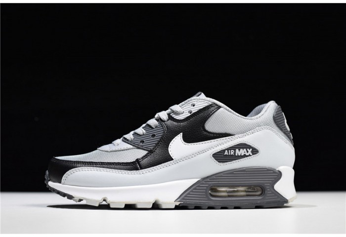 Nike Air Max 90 Essential - 537384-083