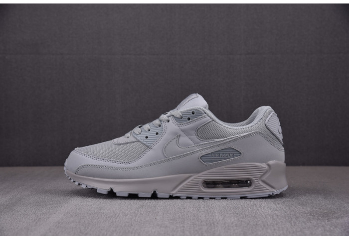 Nike Air Max 90 Recraft Wolf Grey CN8490-001