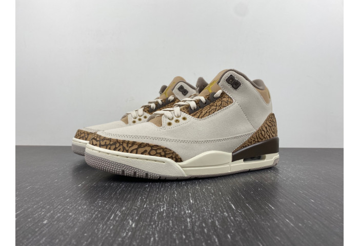 Air Jordan 3 Retro Palomino CT8532-102