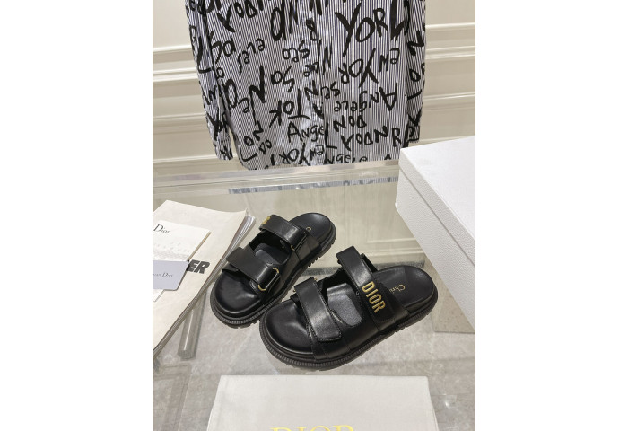 D1OR Slides