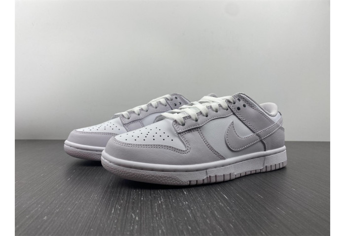 Nike Dunk Low Venice (W) DD1503-116