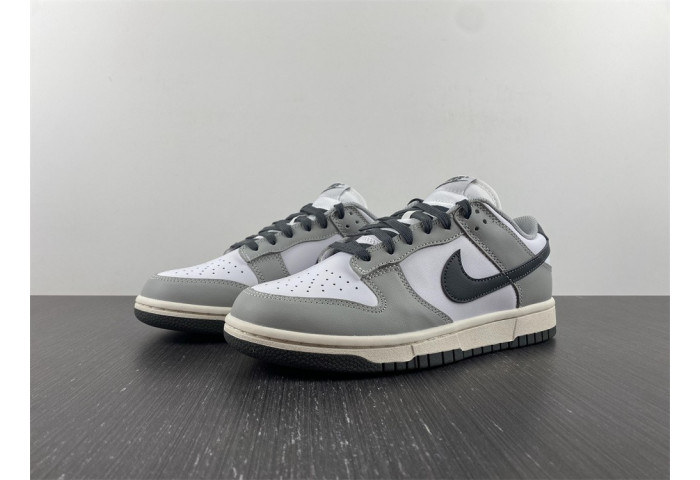 Nike Dunk Low Light Smoke Grey DD1503-117