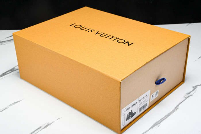 L1VV TRAINER