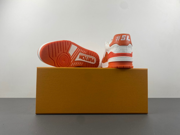 L1VV TRAINER