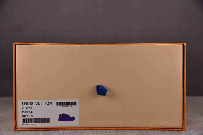 L1VV TRAINER