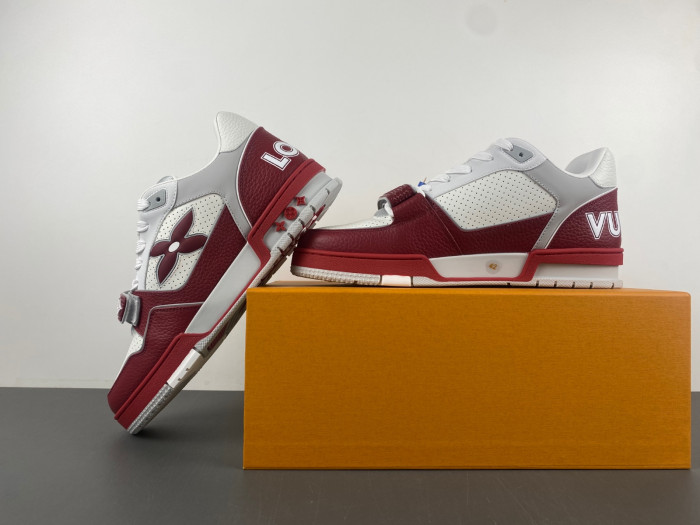 L1VV TRAINER