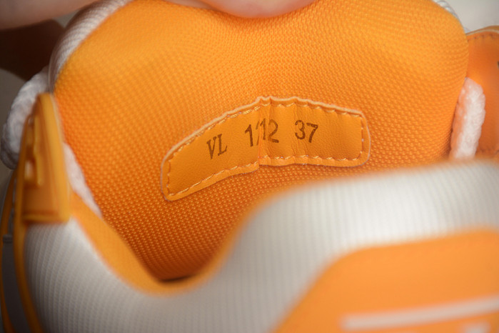 L1VV TRAINER