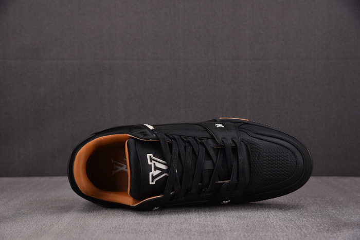 L1VV TRAINER
