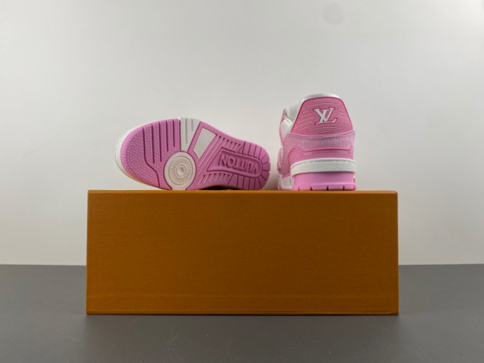 L1VV TRAINER