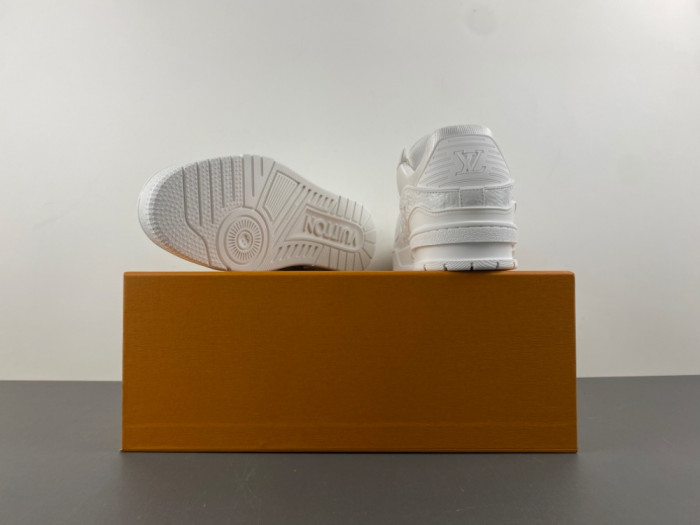 L1VV TRAINER