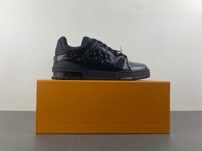 L1VV TRAINER