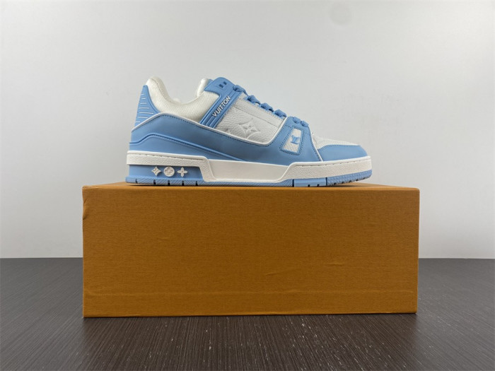 L1VV TRAINER