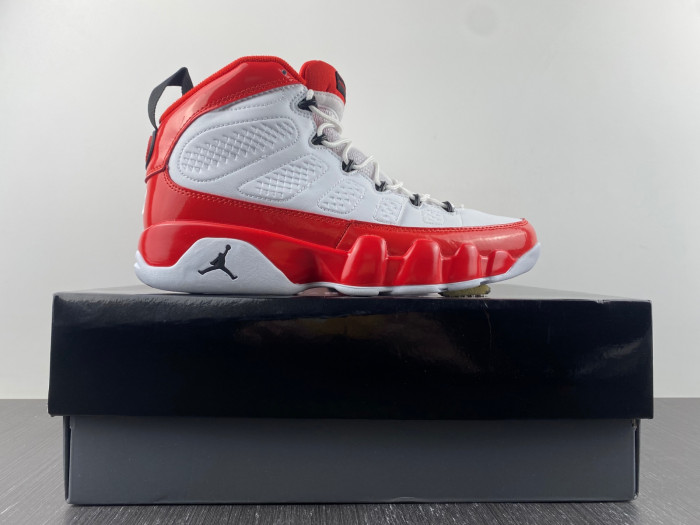 Air Jordan 9 Gym Red 302370-160