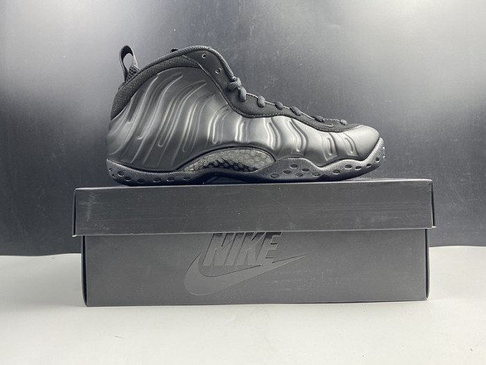 Nike Air Foamposite One 314995-001