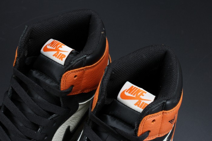 Air Jordan 1 Retro Shattered Backboard 555088-005