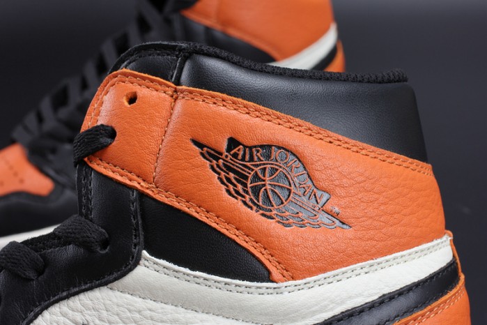 Air Jordan 1 Retro Shattered Backboard 555088-005