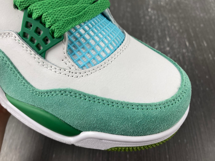 Air Jordan 4 PE SB