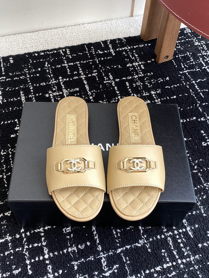 Chane1 Slides