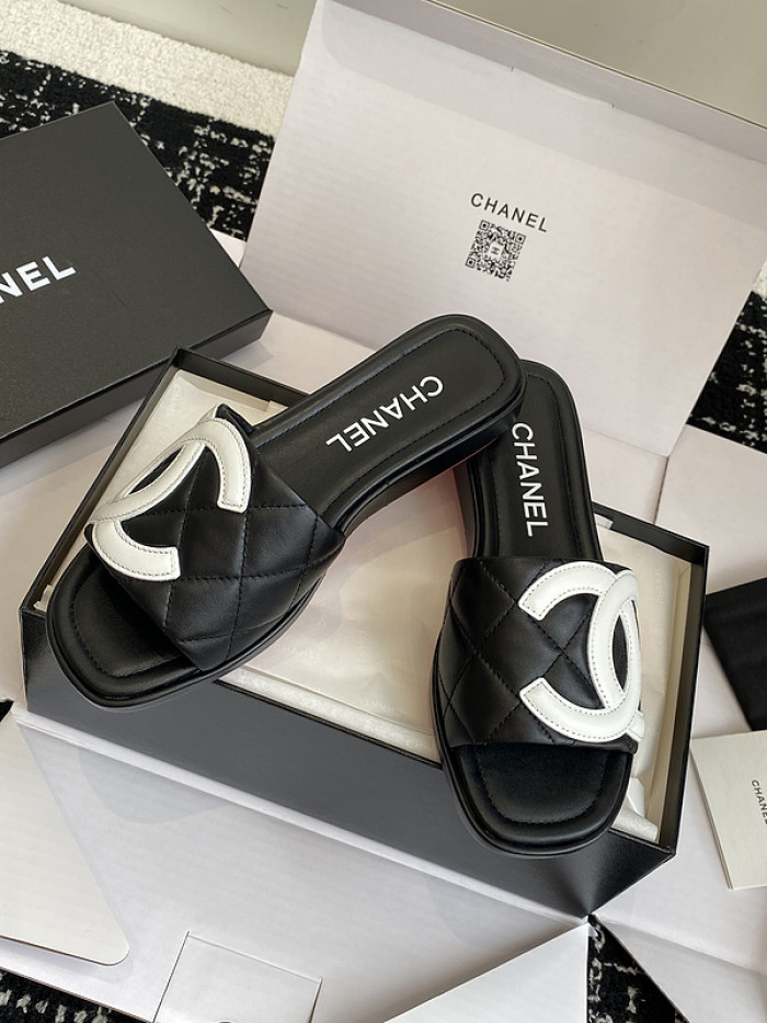 Chane1 Slides