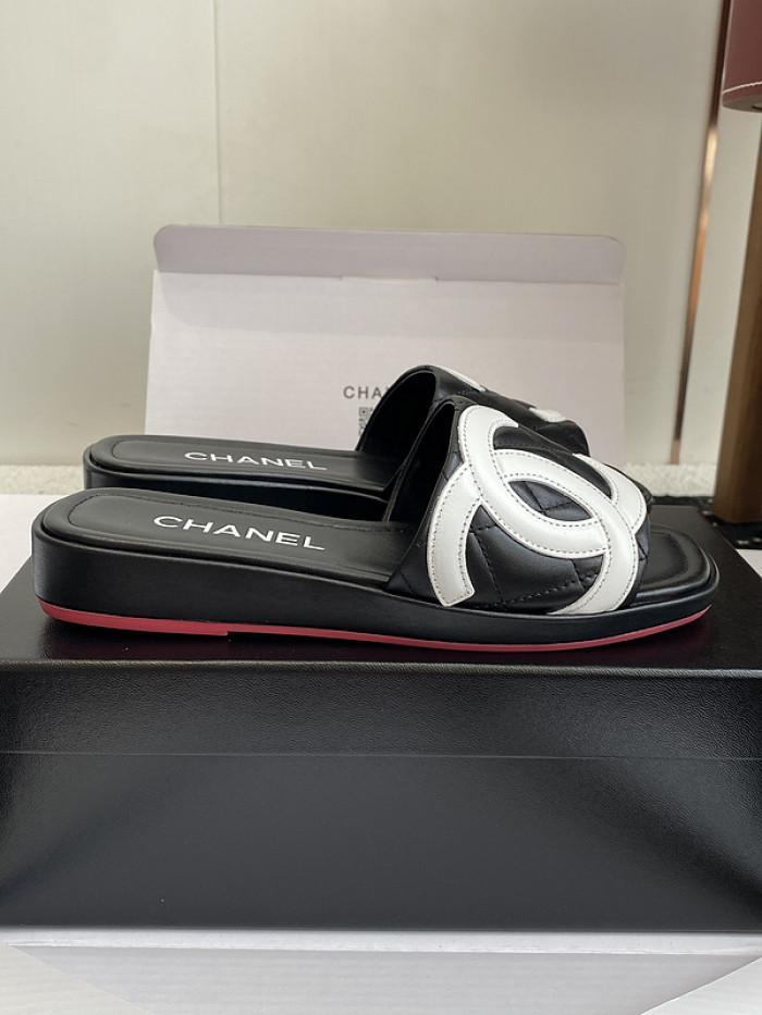 Chane1 Slides