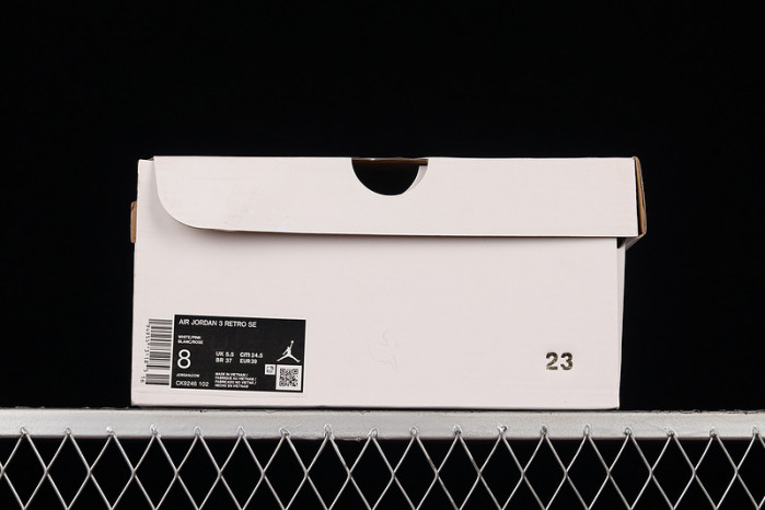 Air Jordan 3 "Neapolitan" CK9246-102