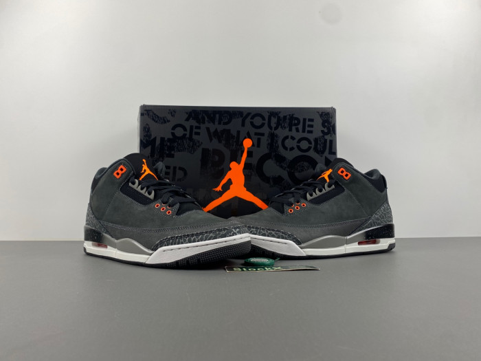 Air Jordan 3 Retro Fear CT8532-080