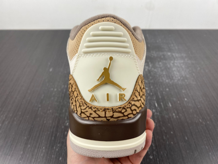 Air Jordan 3 Retro Palomino CT8532-102