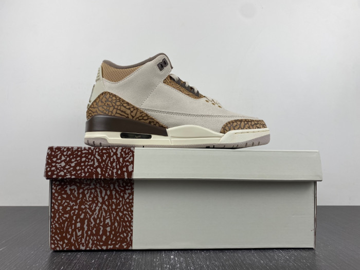 Air Jordan 3 Retro Palomino CT8532-102