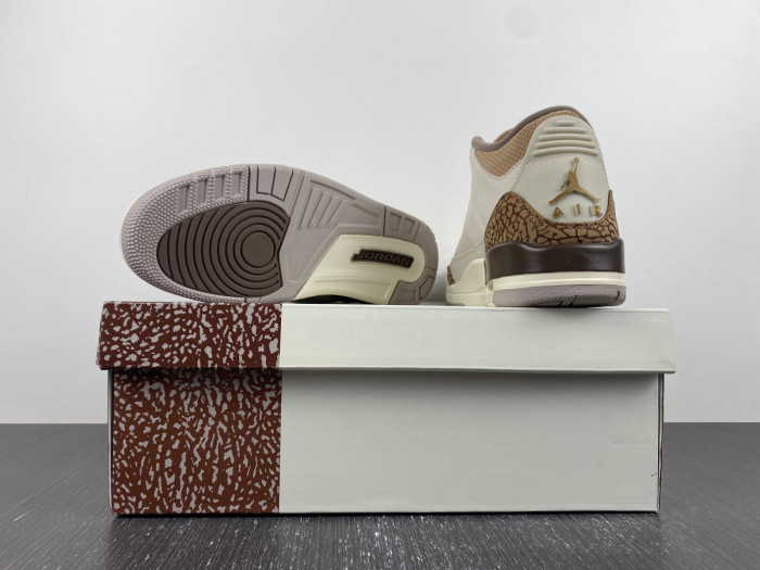 Air Jordan 3 Retro Palomino CT8532-102