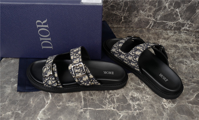 D1OR Slides