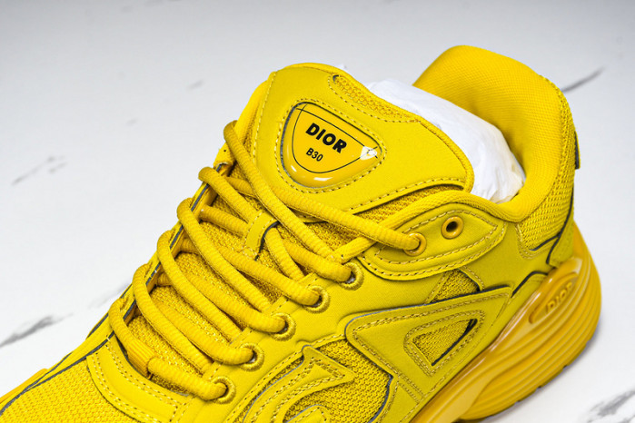 D1OR B30 Sneakers