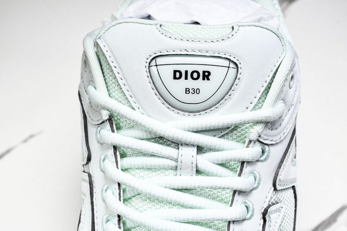 D1OR B30 Sneakers