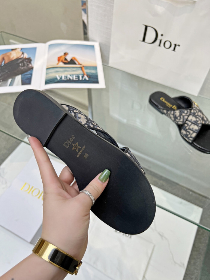 D1OR Slides