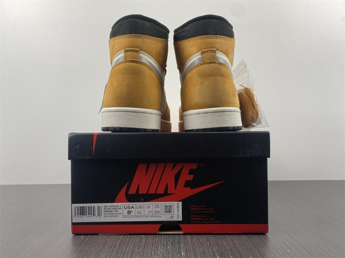Air Jordan 1 High Element Gore-Tex Light Curry Jordan 1 DB2889-700