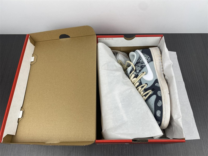 Nike Dunk Low Retro DD1503-1099