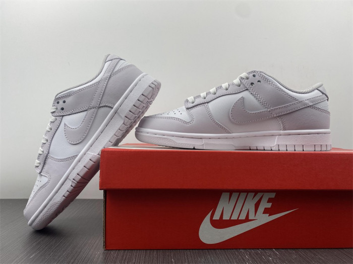 Nike Dunk Low Venice (W) DD1503-116