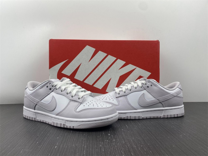 Nike Dunk Low Venice (W) DD1503-116
