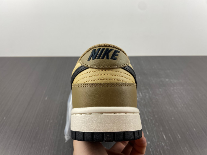 Nike Dunk Low Dark Driftwood (W) DD1503-200