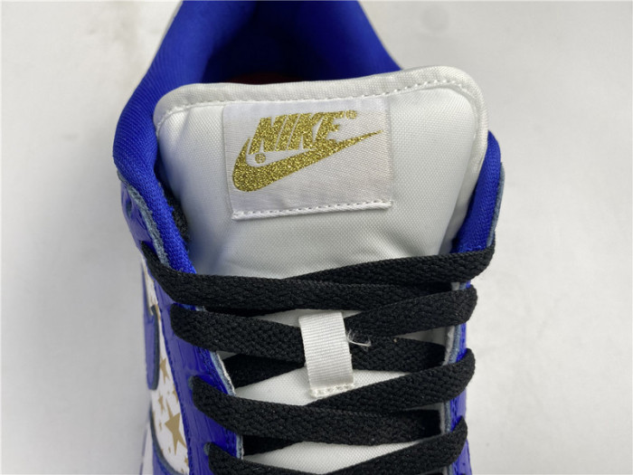 Nike SB Dunk Low DH3228-103