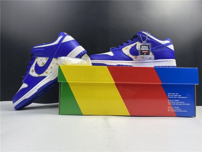 Nike SB Dunk Low DH3228-103