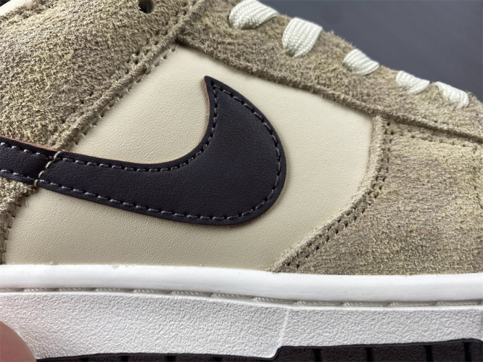 Nike Dunk Low Retro PRM DH7913-200