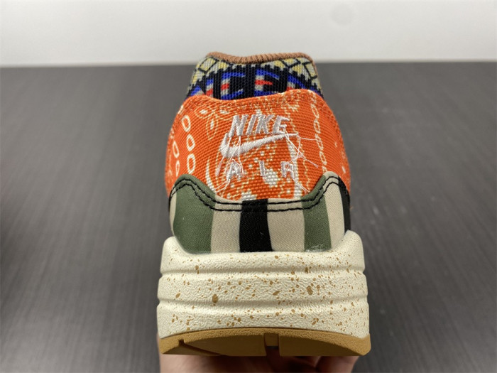 Nike Air Max 1 SP Concepts Heavy DN1803-900