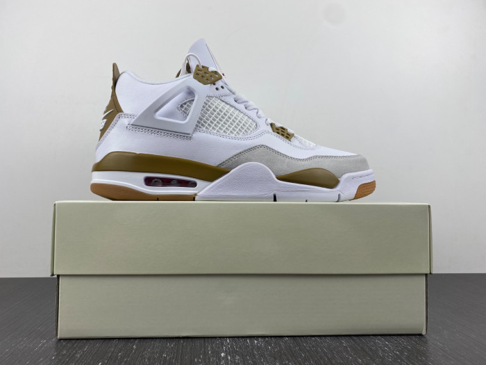 Air Jordan 4 Retro DR5415-120