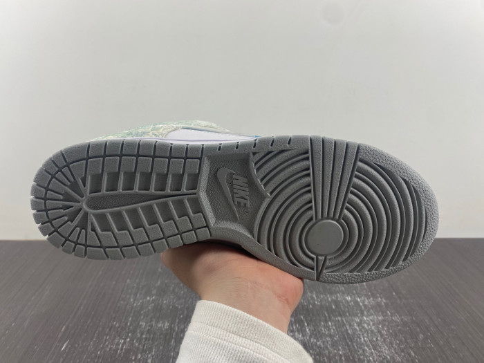 Nike SB Dunk Low DV0831-101