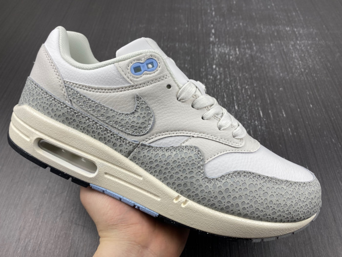 Nike Air Max 1 