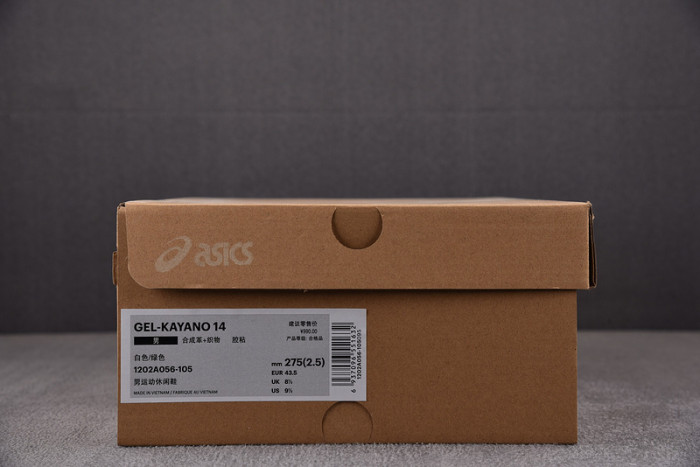 Asics Shoes